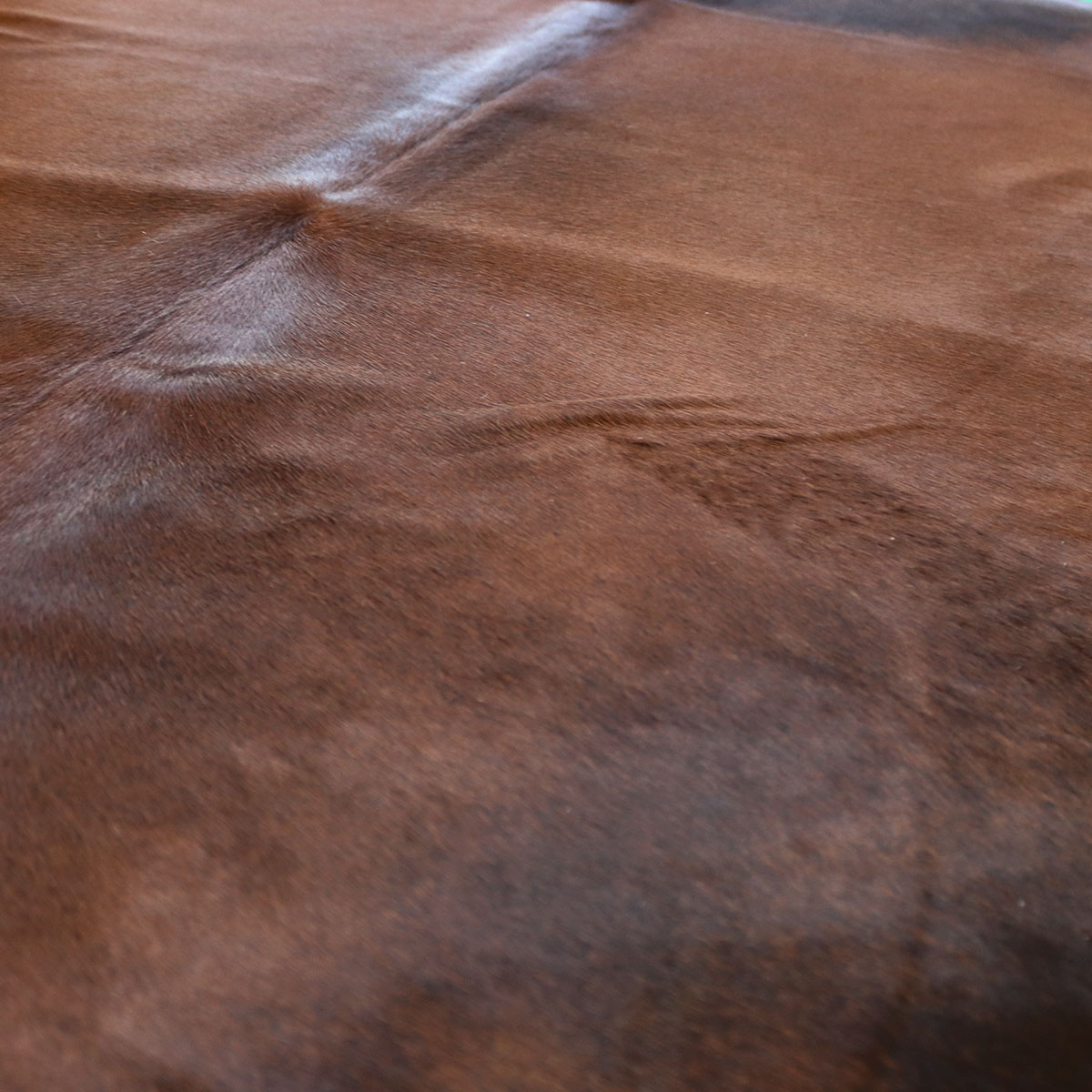 Kuhfell 625 – Rötlich, 190 × 200 cm – Ansicht 2