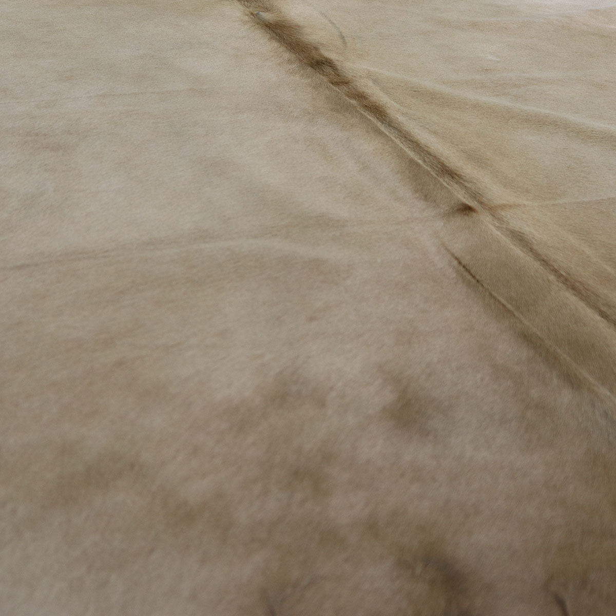 Kuhfell 606 – Palomino, 210 × 205 cm – Ansicht 2