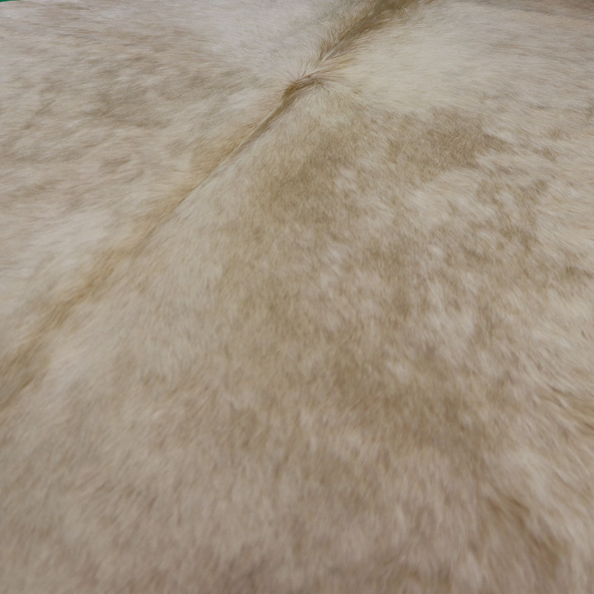 Kuhfell 603 – Palomino, 220 × 180 cm – Ansicht 2