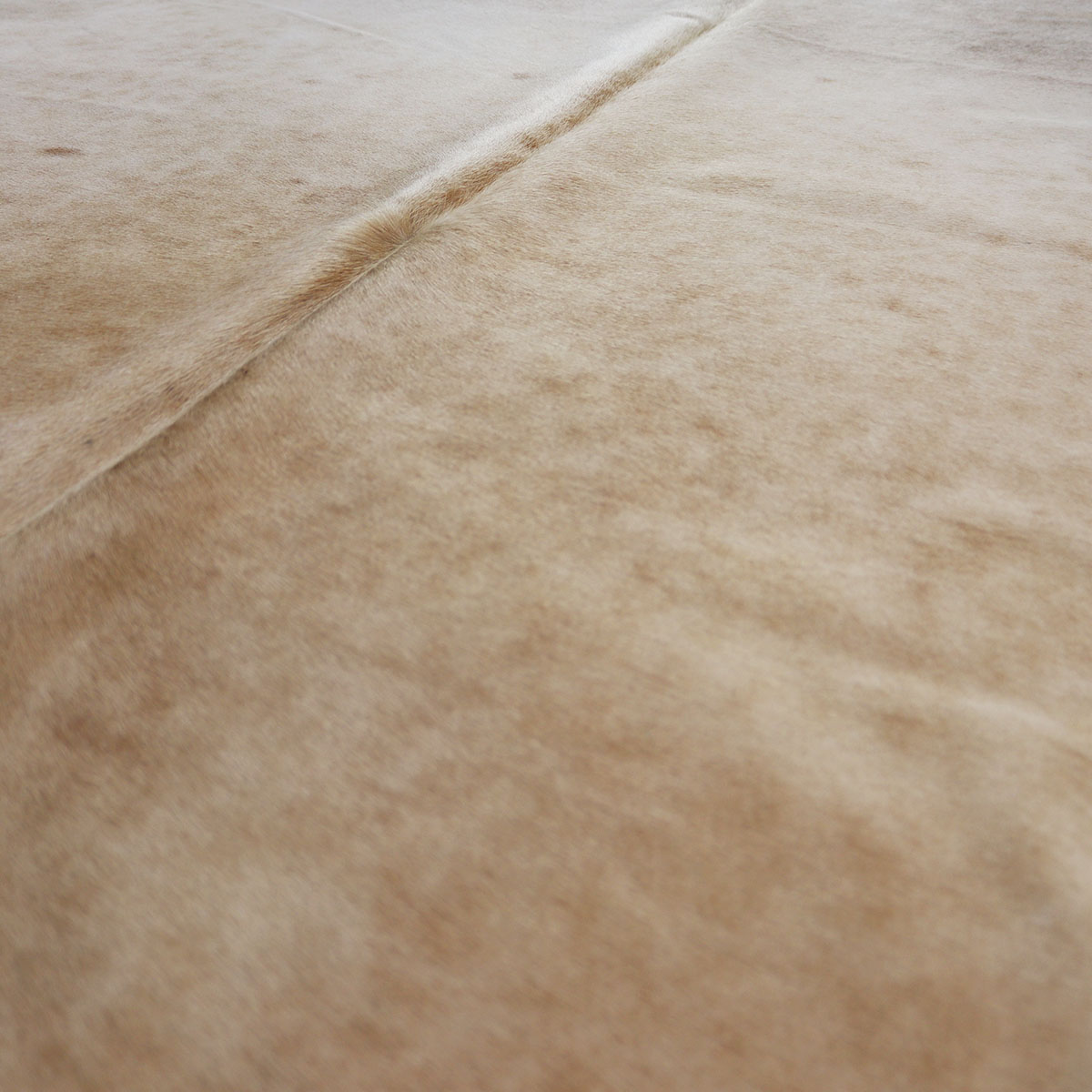 Detail der Fellstruktur von Kuhfell 591 mit heller, creme-beiger Färbung