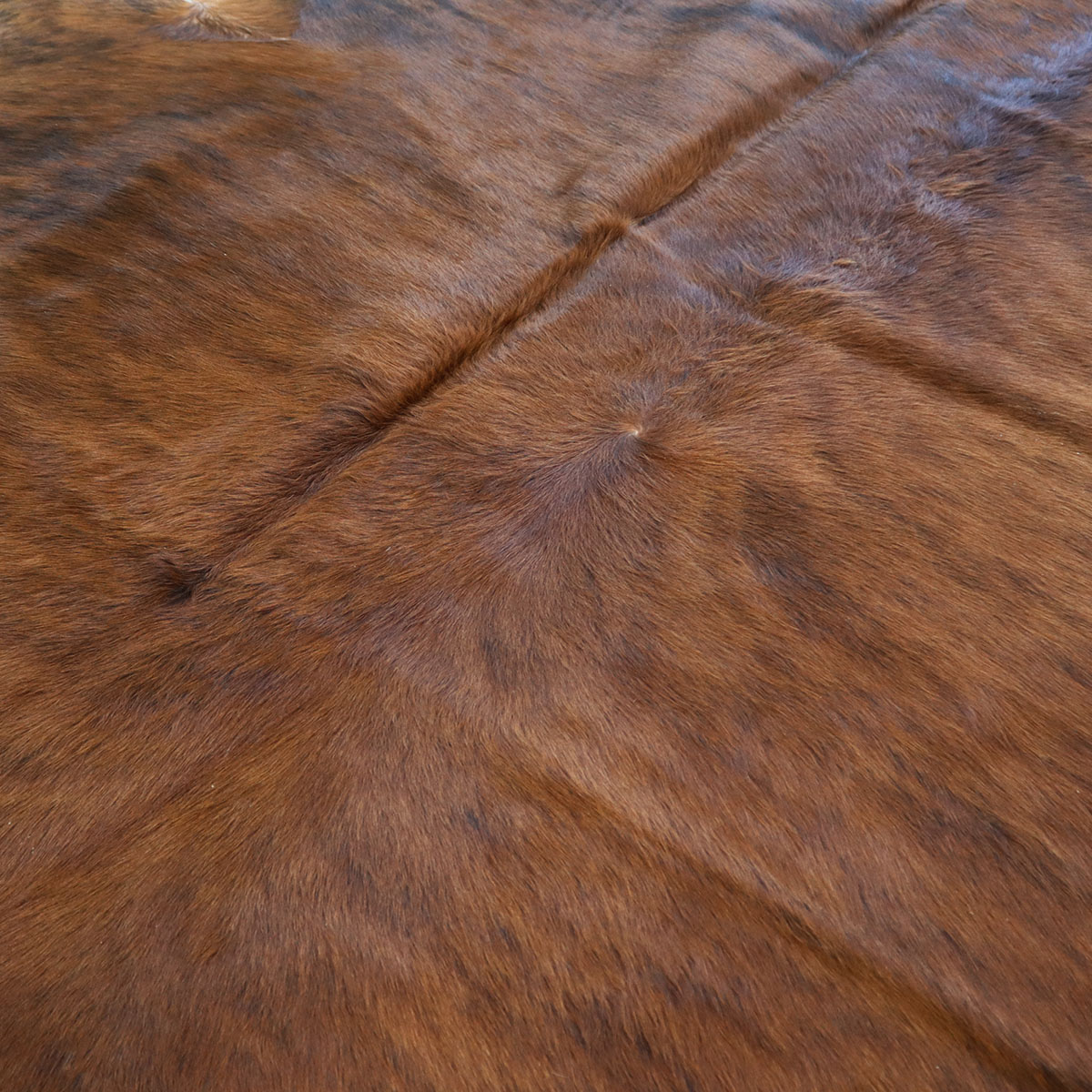 Detail der braun-schwarzen Zeichnung eines gestromten Kuhfells